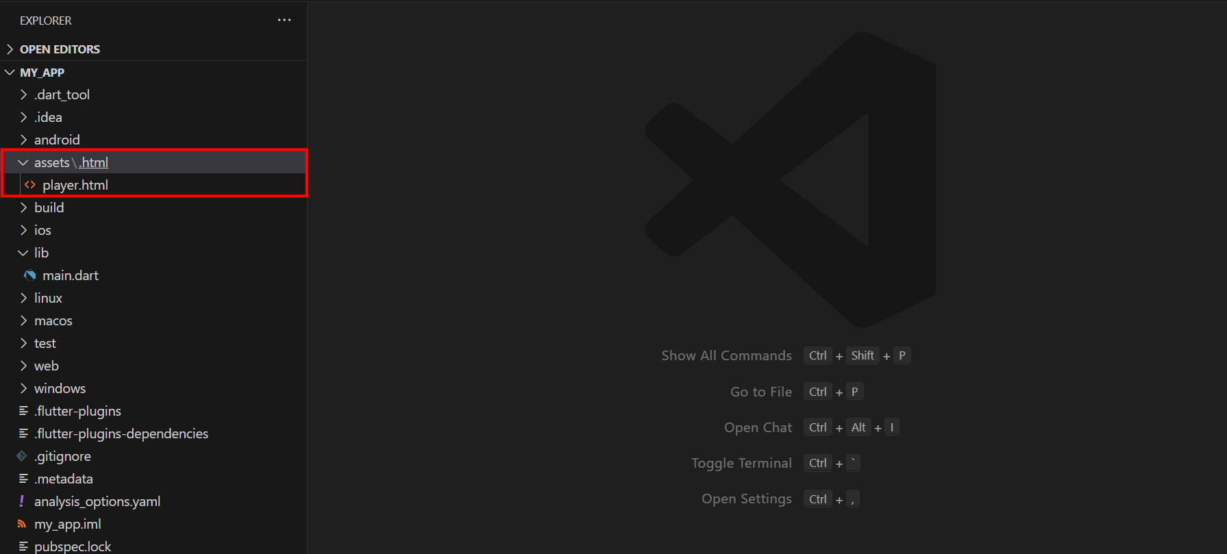 asset.html_file