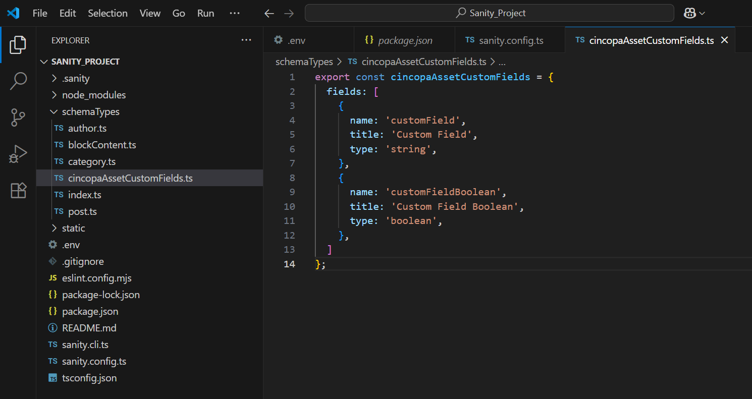 config_cincopaAssetCustomFields.ts