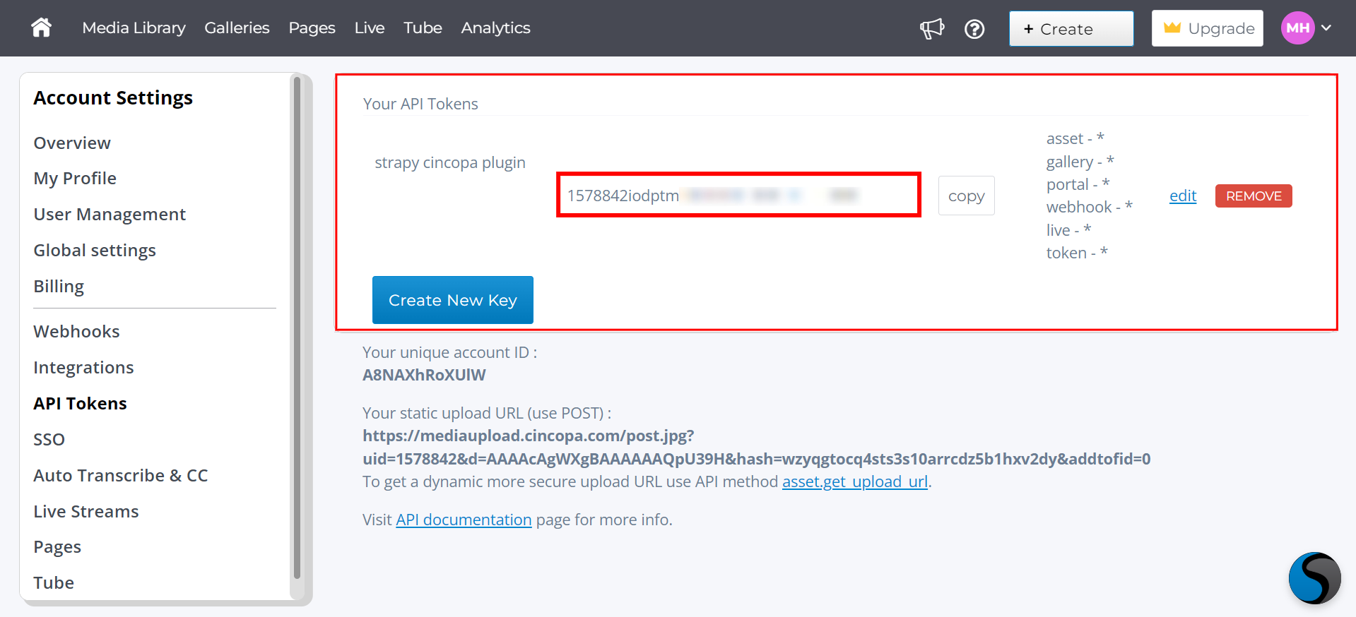 copy-api-credentials