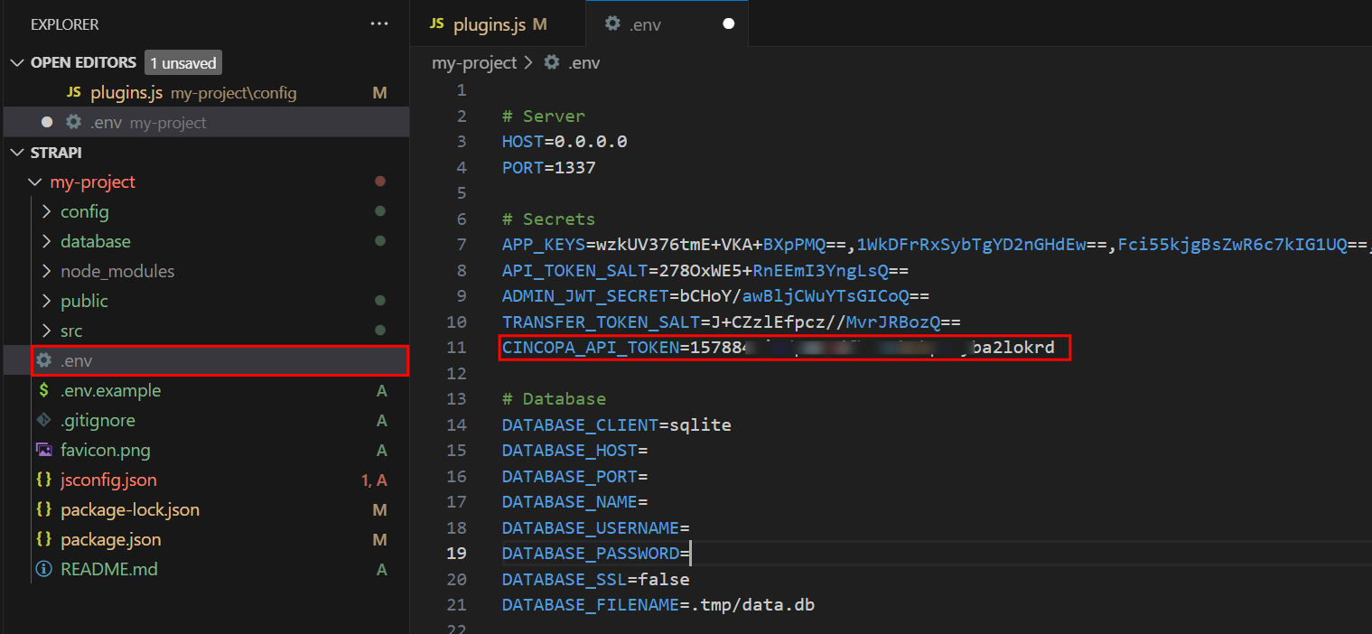 setting-up-token-in-.env